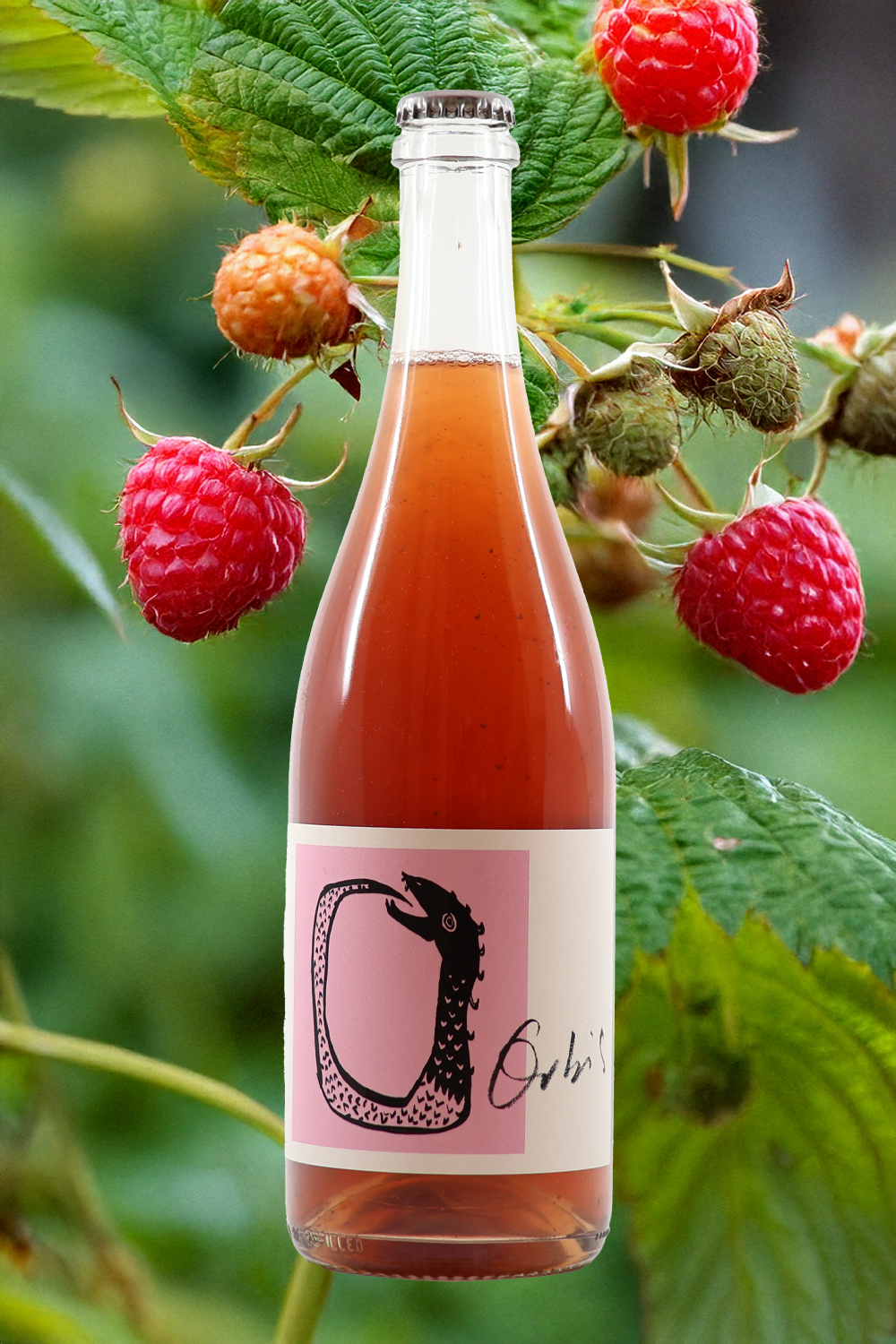 Orbis Wines Petillant Naturel