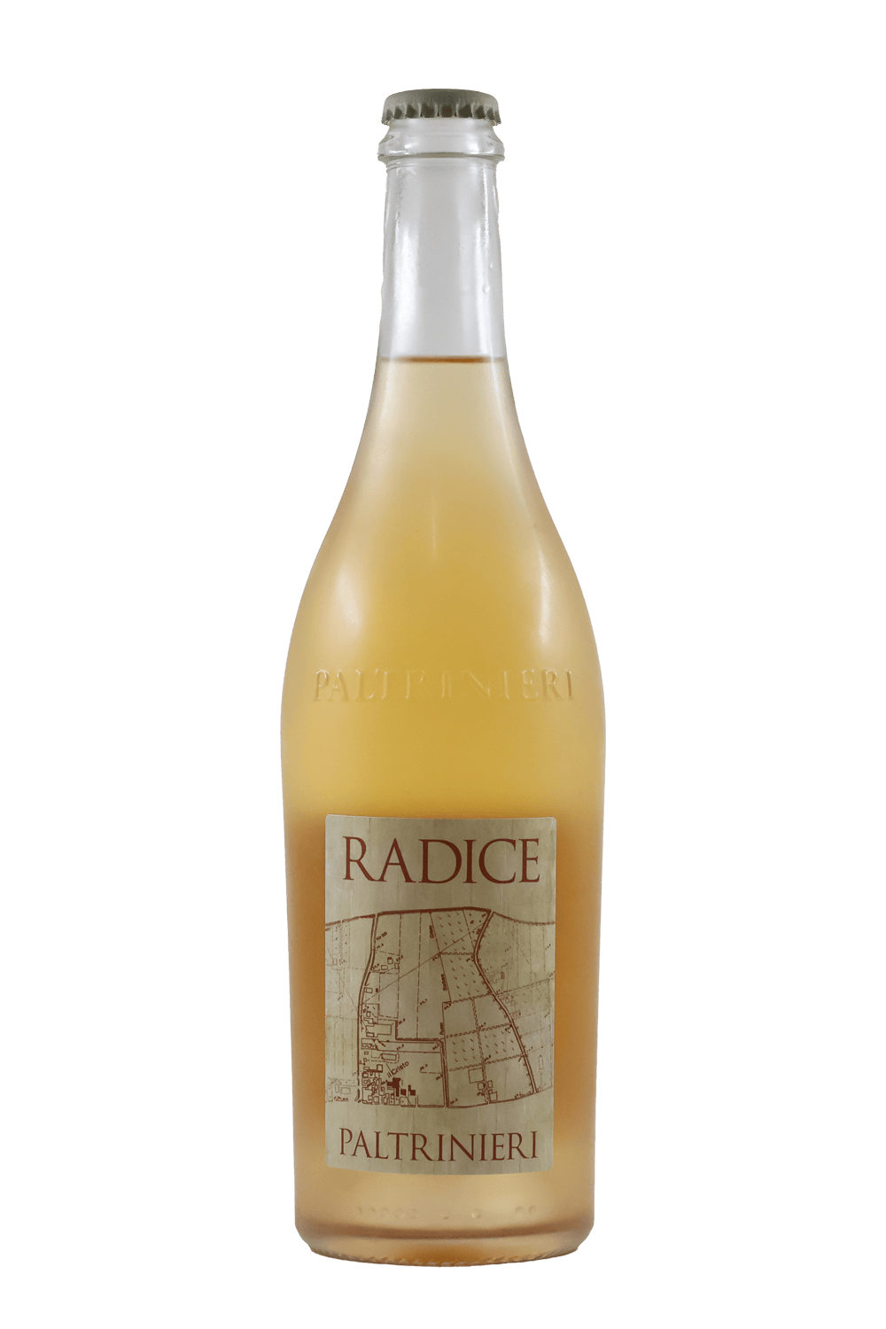 Paltrinieri 'Radice' Lambrusco di Sorbara by Culture Wine & Liquor
