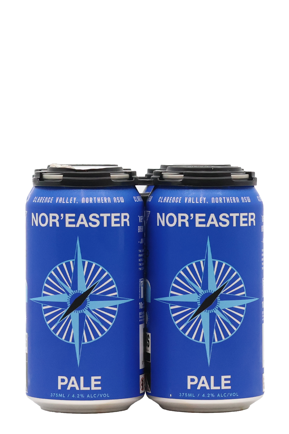 Sanctus Brewing Co Nor'Easter Pale 4pk